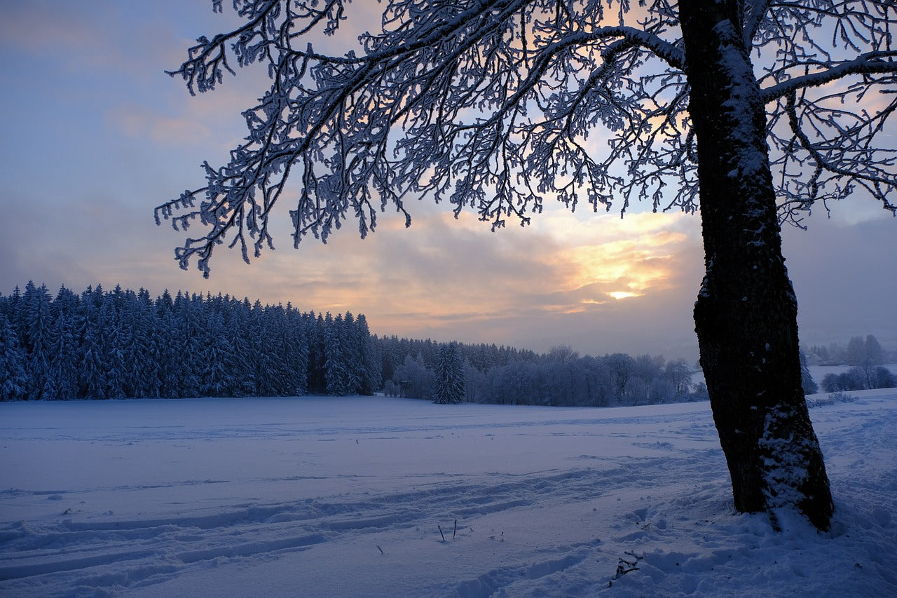 Comfortabele winteravonturen met warme wandellaarzen