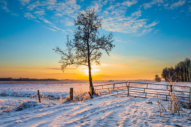 Draag je het liefst sportieve winterschoenen?