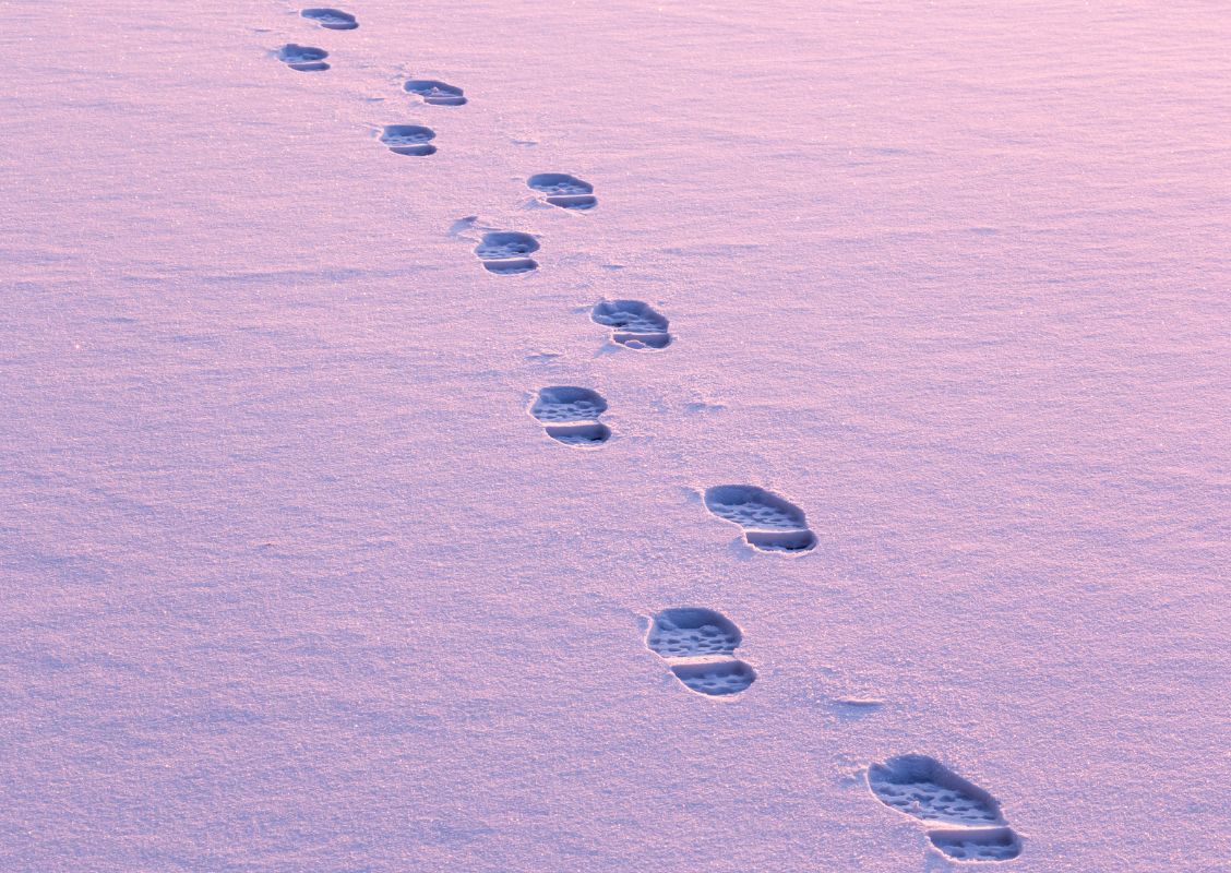 In de sneeuw houd jij met ZOO Footwear winter enkellaarzen lekker warme voeten
