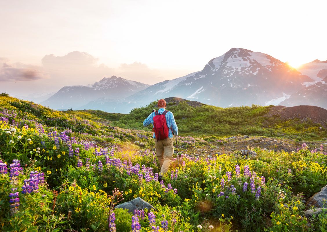 Maak jezelf blij met comfortabele wandelschoenen zomer