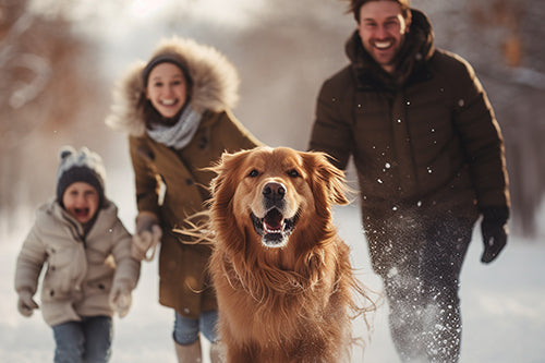 Warme winterlaarzen: de beste keuze voor dit winterseizoen